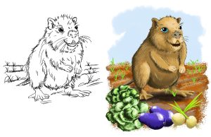 Nutria Gardening Illustration