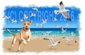 Kai and Seagulls (c) 2016